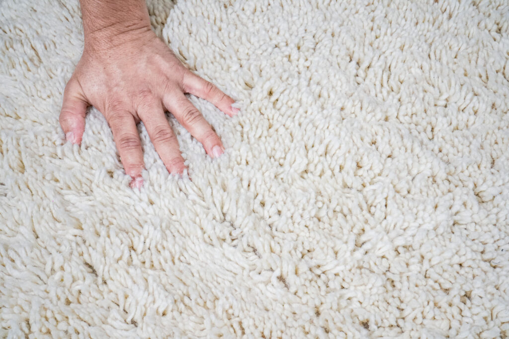 Shaggy Moroccan-inspired wool rug in a styled living room