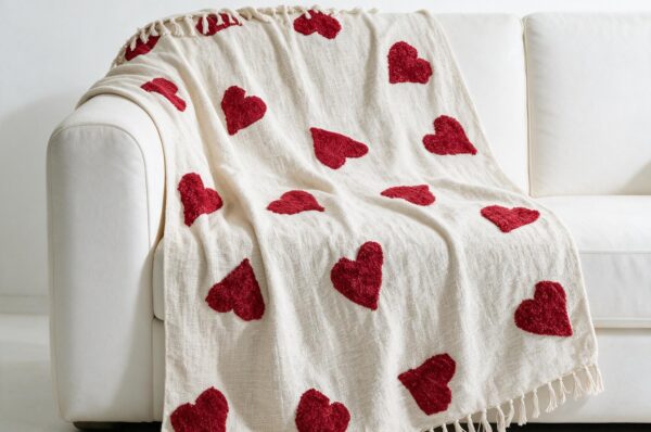 Handwoven cotton throw STCT-134 draped over a sofa in a styled living room