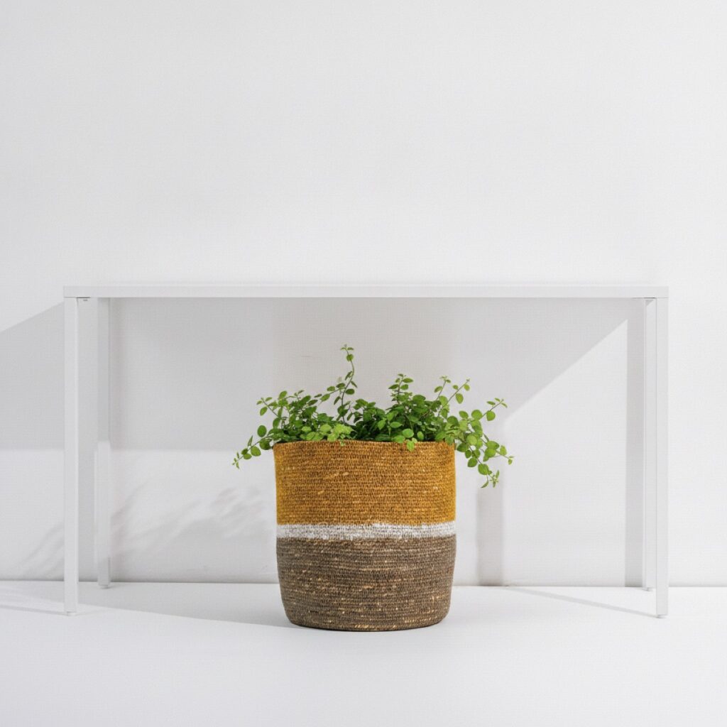 Handwoven basket styled in a room, made in India for wholesale