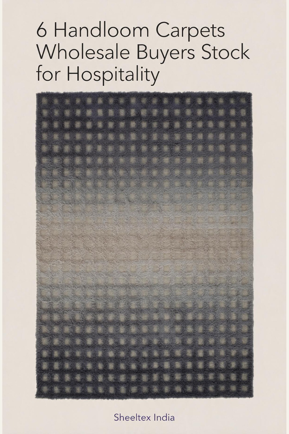 Illustrated cover: 6 Handloom Carpets Wholesale Buyers Stock for Hospitality. Sheeltex India product styled from the source photograph.